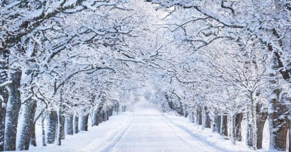 冬季休暇のお知らせ