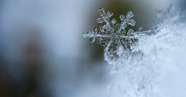 冬季休暇のお知らせ